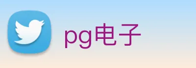 pg电子 logo